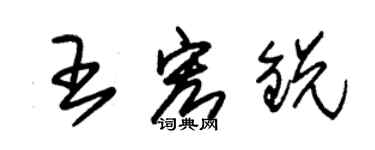 朱锡荣王宏锐草书个性签名怎么写