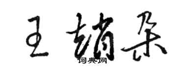 骆恒光王赵朵草书个性签名怎么写