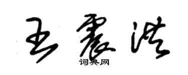 朱锡荣王震洪草书个性签名怎么写