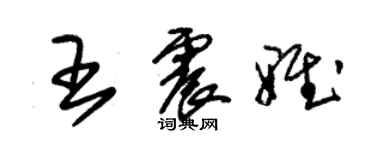 朱锡荣王震雅草书个性签名怎么写