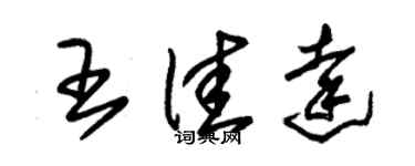 朱锡荣王佳达草书个性签名怎么写