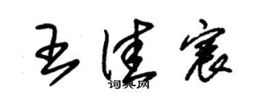 朱锡荣王佳宸草书个性签名怎么写