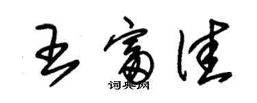 朱锡荣王富佳草书个性签名怎么写