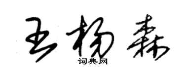 朱锡荣王杨森草书个性签名怎么写