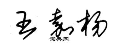 朱锡荣王嘉杨草书个性签名怎么写