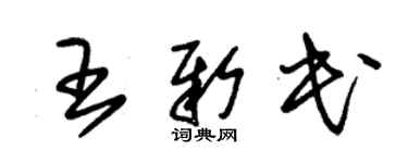 朱锡荣王新民草书个性签名怎么写