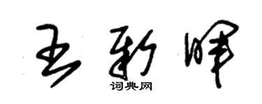 朱锡荣王新晖草书个性签名怎么写