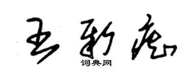 朱锡荣王新痴草书个性签名怎么写