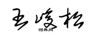 朱锡荣王峻松草书个性签名怎么写