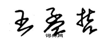 朱锡荣王孟哲草书个性签名怎么写