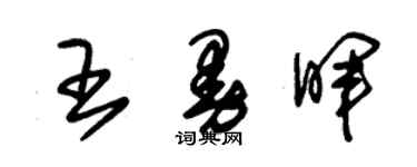 朱锡荣王曼晖草书个性签名怎么写