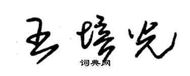 朱锡荣王培光草书个性签名怎么写