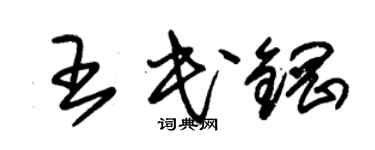 朱锡荣王民钢草书个性签名怎么写