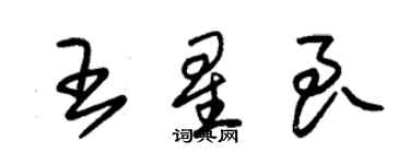 朱锡荣王星良草书个性签名怎么写