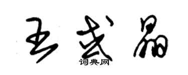 朱锡荣王或晶草书个性签名怎么写