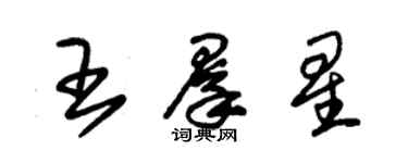 朱锡荣王群星草书个性签名怎么写