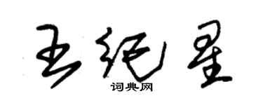 朱锡荣王纪星草书个性签名怎么写
