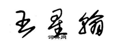 朱锡荣王星翰草书个性签名怎么写