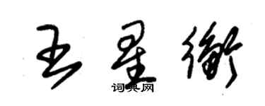 朱锡荣王星衡草书个性签名怎么写