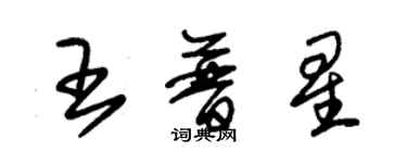 朱锡荣王普星草书个性签名怎么写