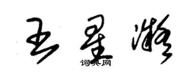 朱锡荣王星凝草书个性签名怎么写