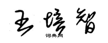 朱锡荣王培智草书个性签名怎么写