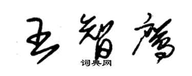 朱锡荣王智鹰草书个性签名怎么写