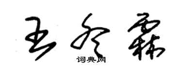 朱锡荣王冬霖草书个性签名怎么写