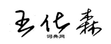 朱锡荣王化森草书个性签名怎么写