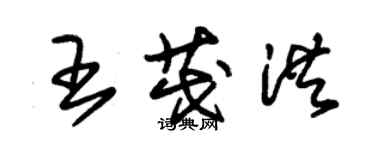 朱锡荣王茂洪草书个性签名怎么写