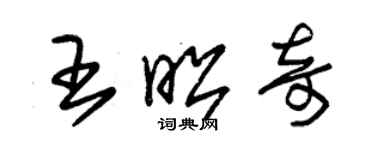 朱锡荣王昭奇草书个性签名怎么写