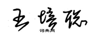 朱锡荣王培聪草书个性签名怎么写