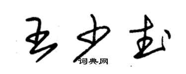 朱锡荣王少武草书个性签名怎么写