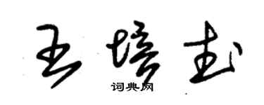 朱锡荣王培武草书个性签名怎么写