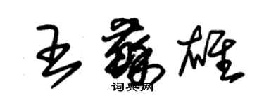 朱锡荣王苏雄草书个性签名怎么写