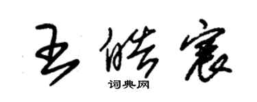 朱锡荣王皓宸草书个性签名怎么写