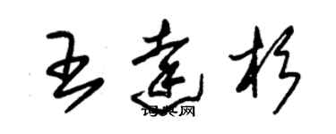 朱锡荣王达杉草书个性签名怎么写