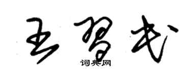 朱锡荣王习民草书个性签名怎么写