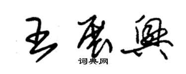 朱锡荣王展兴草书个性签名怎么写