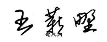 朱锡荣王薪野草书个性签名怎么写