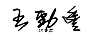 朱锡荣王劲丰草书个性签名怎么写