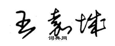 朱锡荣王嘉城草书个性签名怎么写