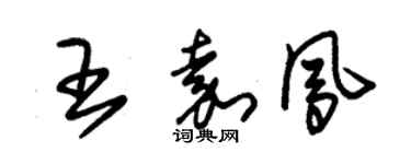 朱锡荣王嘉凤草书个性签名怎么写