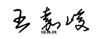 朱锡荣王嘉峻草书个性签名怎么写