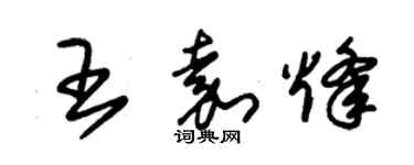朱锡荣王嘉烽草书个性签名怎么写