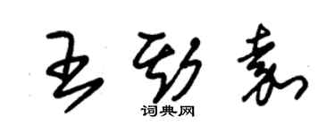 朱锡荣王斯嘉草书个性签名怎么写