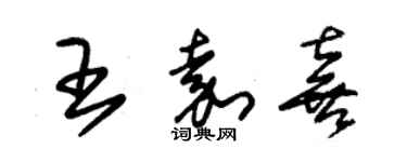 朱锡荣王嘉喜草书个性签名怎么写