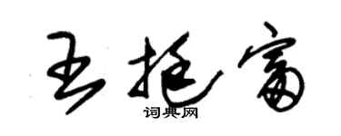 朱锡荣王挺富草书个性签名怎么写