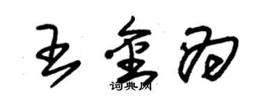 朱锡荣王金为草书个性签名怎么写