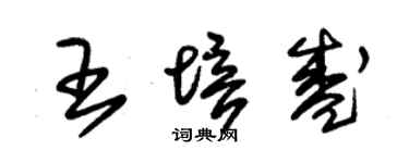朱锡荣王培盛草书个性签名怎么写